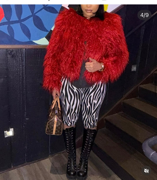 Zebra half pants